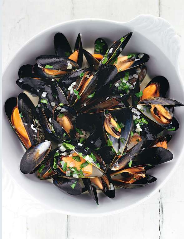 MUSSEL 1/2 SHELL