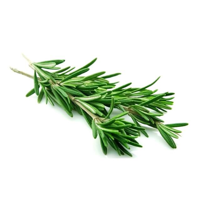 ROSEMARY BUNCH