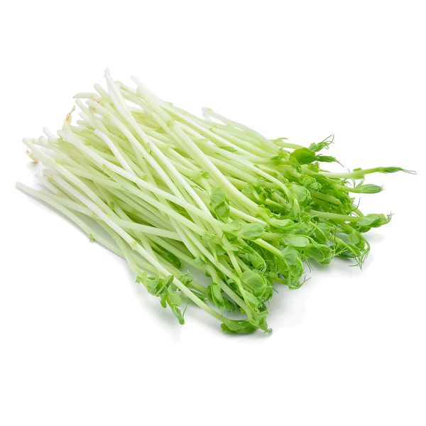 SNOW PEA SPROUTS PUNNET   100GM APPROX
