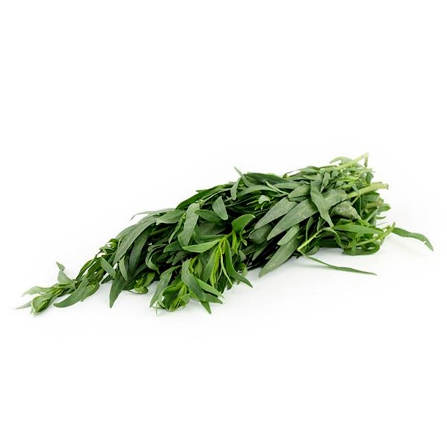 TARRAGON BUNCH