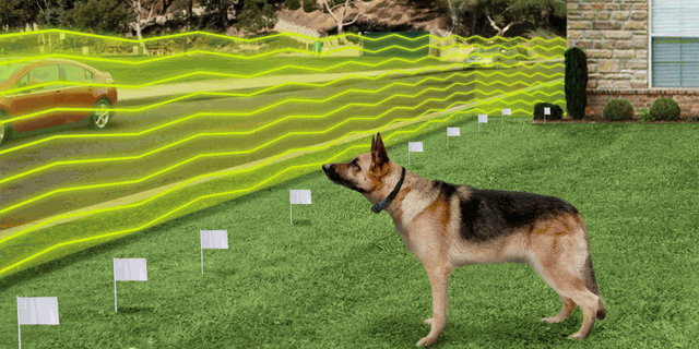 Corded Dog Fence