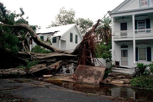 WInd storm damage mitigation services