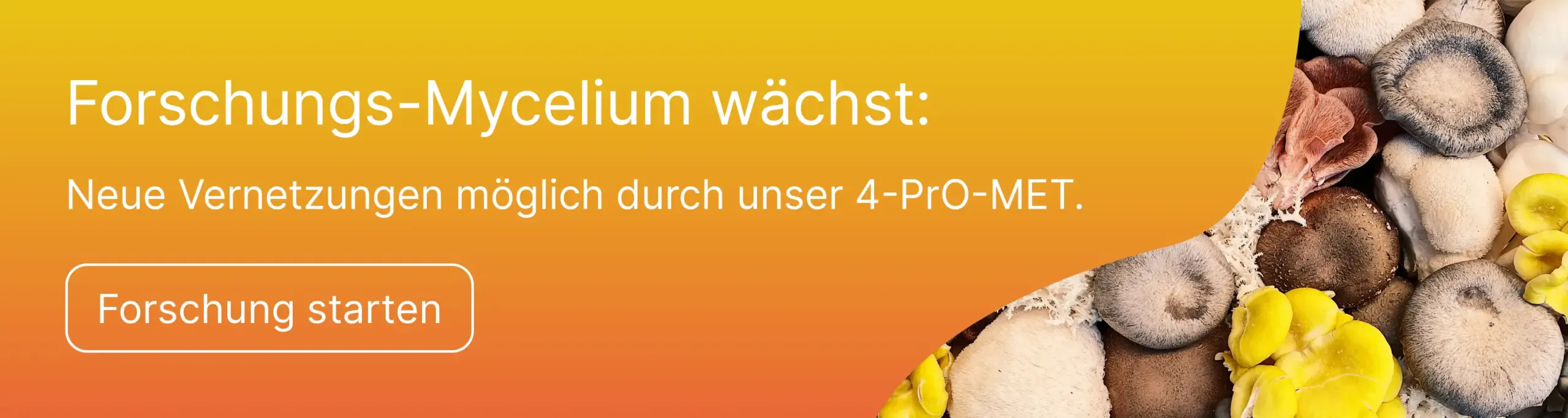 Werbung für legale LSD-Derivate in unserem LSD-Shop.