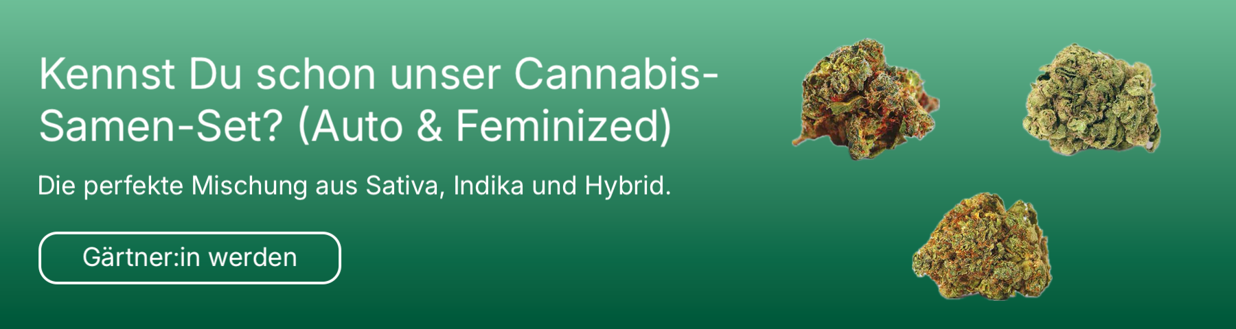 Ad für die Microdosing Journey, ein Online-Kurs für Microdosing.