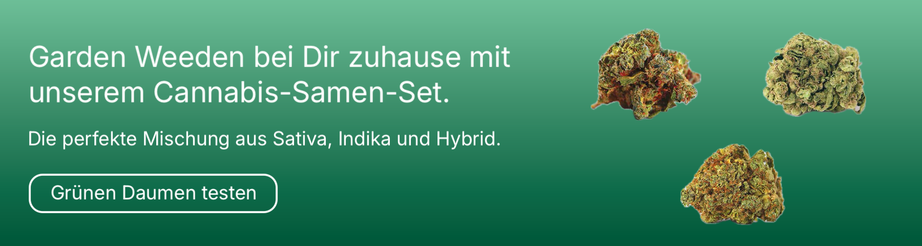 Ad für die Microdosing Journey, ein Online-Kurs für Microdosing.