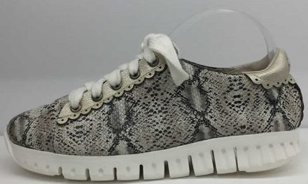 Estilo dinámico en los zapatos de Phlox