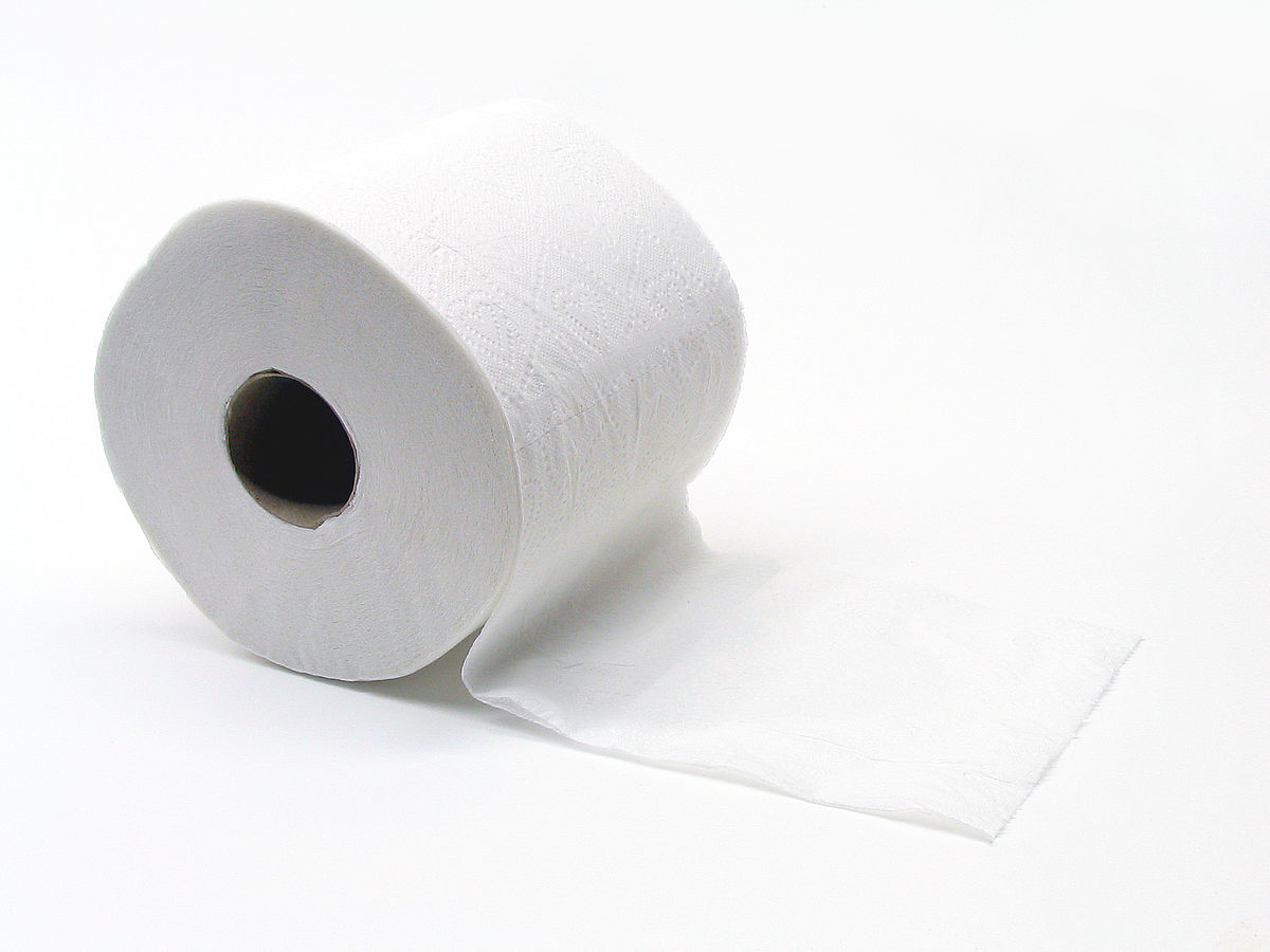 TOILET PAPER ROLL 2PLY 400SH WRAPPED