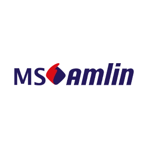 MS Amlin