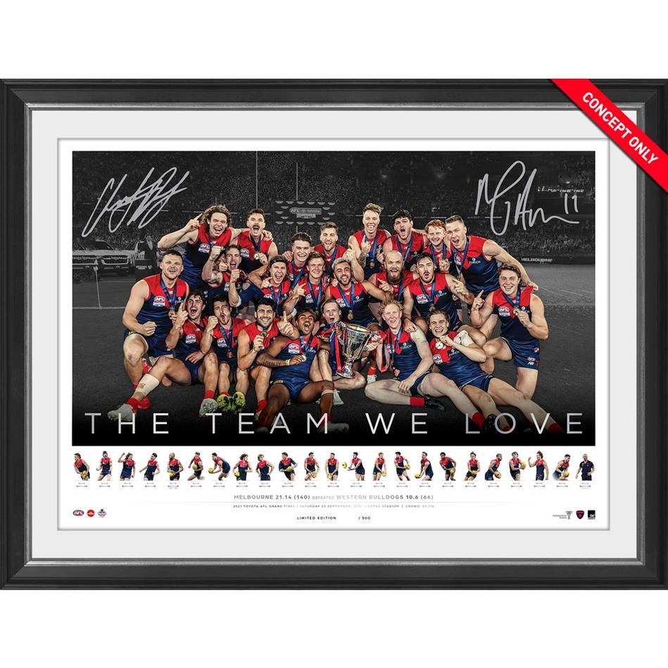 Melbourne Demons 2021 AFL Premiers Dual Signed Limited Edition Framed ...