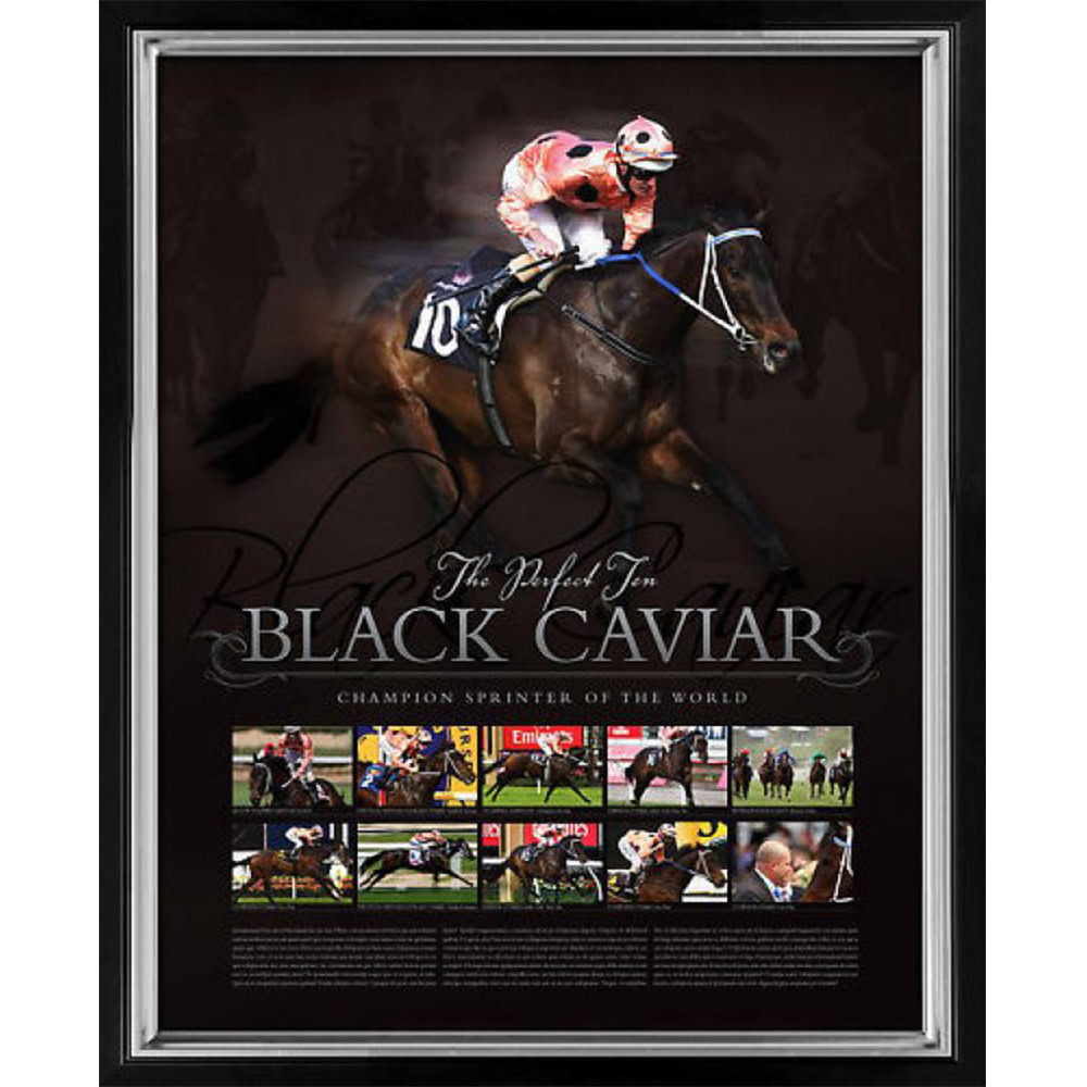Black Caviar – Perfect 10 Framed Limited Edition Print