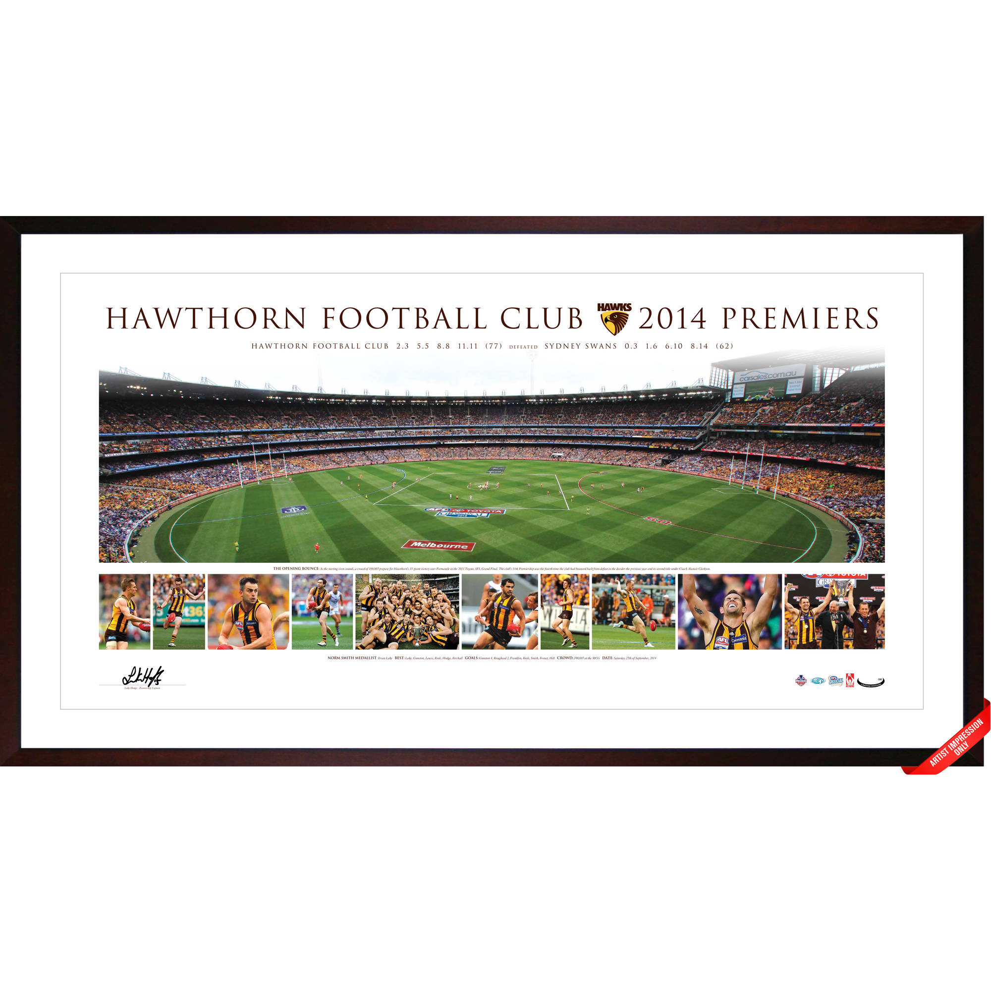 Hawthorn Hawks – 2014 AFL Premiership Signed & Framed Panor...