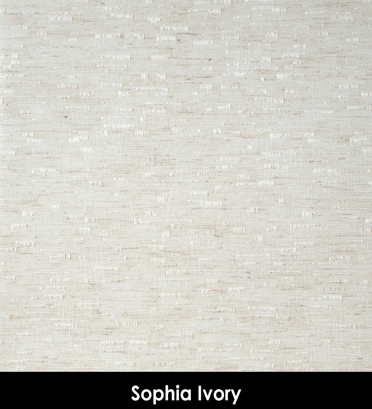 Sophia_Ivory