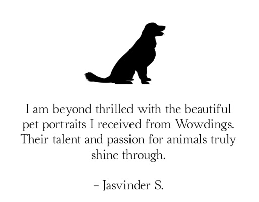 delhi pet photography testimonial