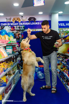 JUSTDOGS INSTORE PET EVENT