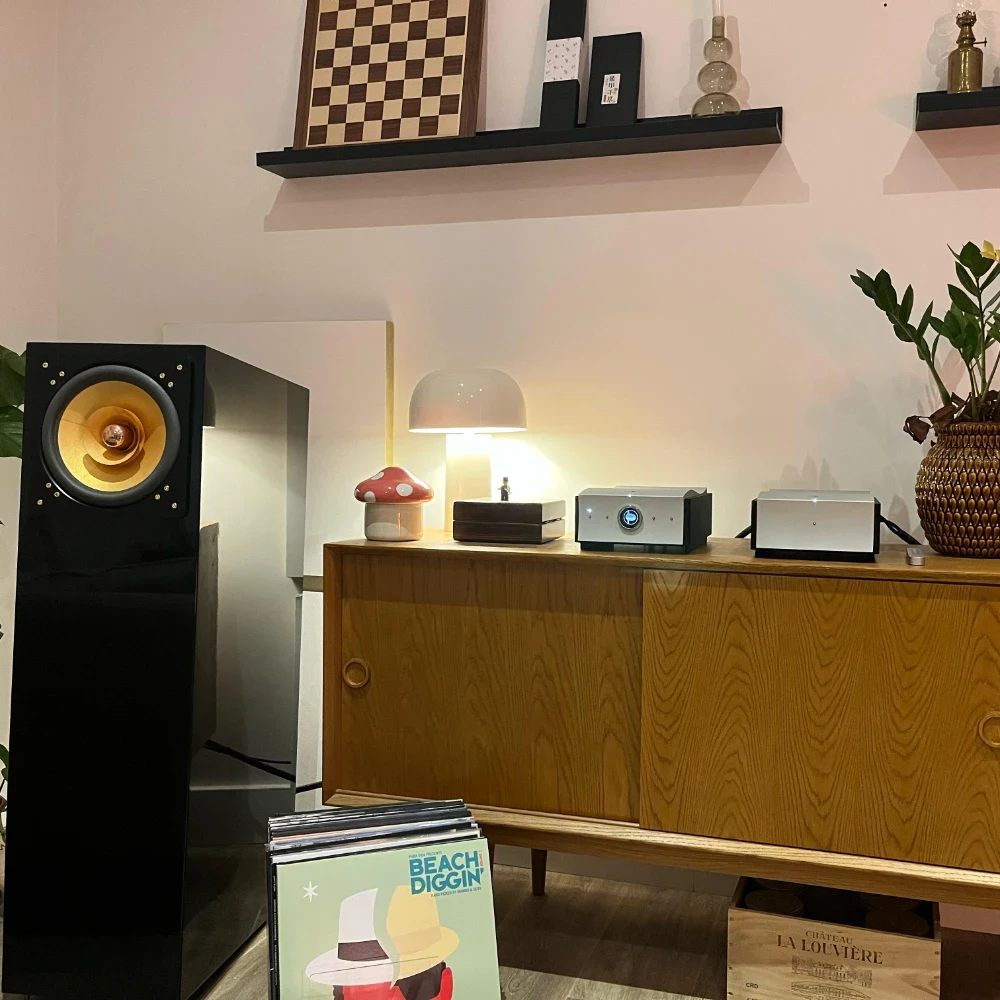 Ensemble Mola-Mola Perca et Tambaqui sur une commode en bois avec une enceinte Cube Audio Nenuphar noire