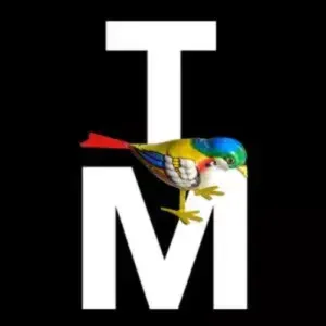 Logo Twittering Machines