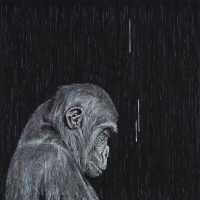 APE 
 oil on canvas, 70x70cm