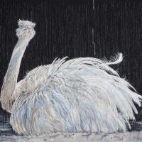 WHITE EMU 
 oil on canvas, 140x160cm