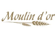 Joe Dandy Marketing Lounge, marketing Lebanon, Web design lebanon, ecommerce websites lebanon, web development lebanon, social media management lebanon