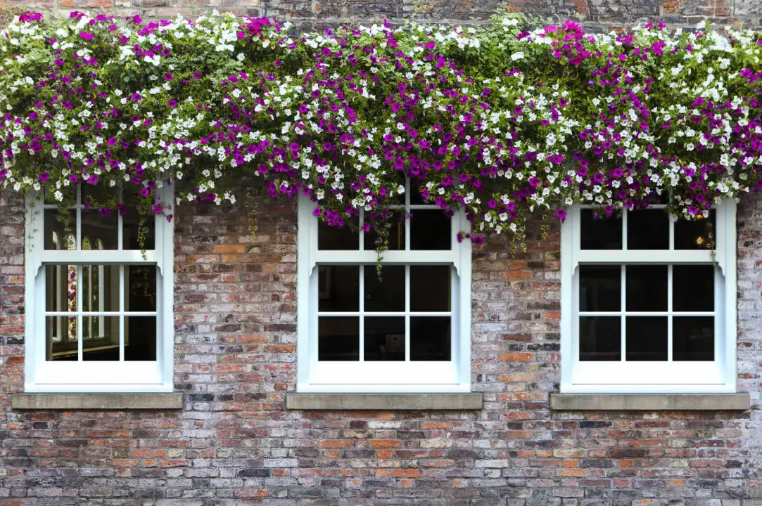Mercury vertical sash slider windows on brick house with white frames and flower boxes