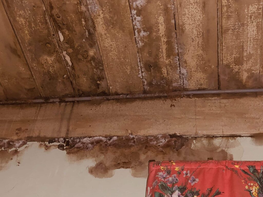 Mérule et assurance habitation