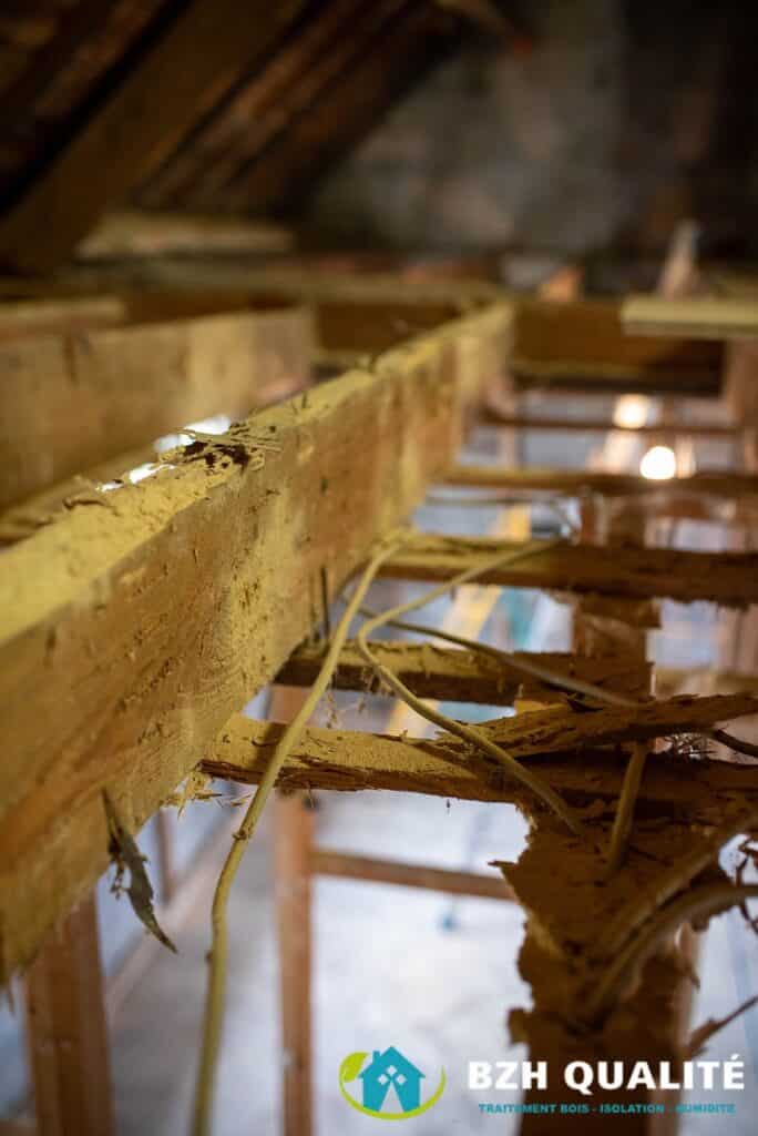 Charpente affaiblie ou fragilisée