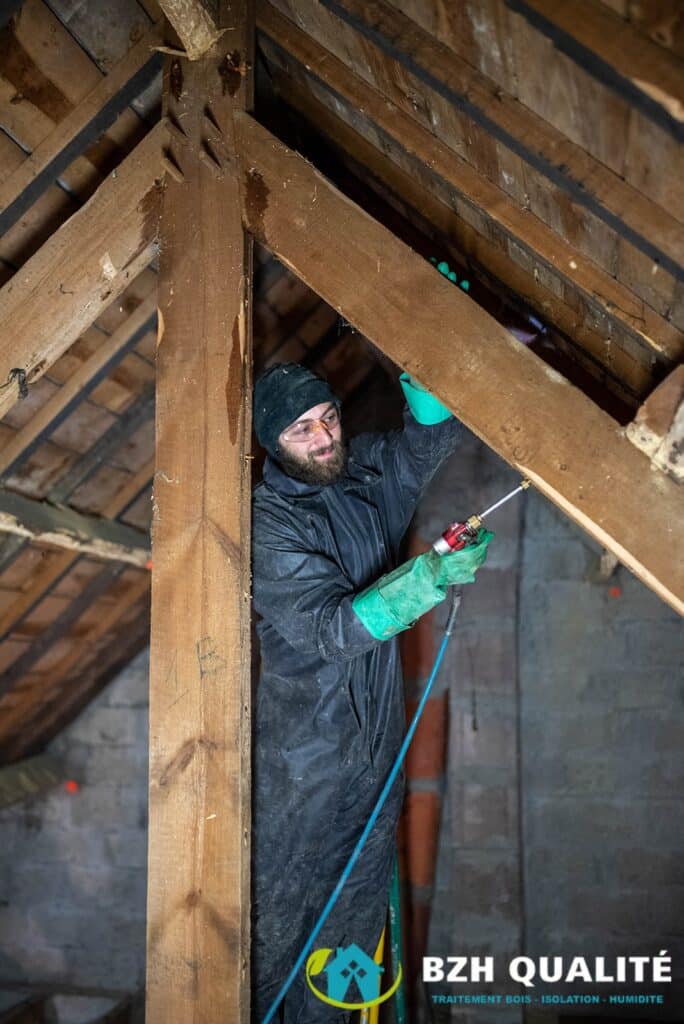 Présence d'insectes xylophages