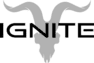 Logo officiel IGNITE Suisse