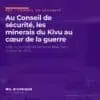 Salle du Conseil de sécurité des Nations unies à New York, où la société civile du Sud-Kivu a décrit la guerre des minerais dans l'Est de la RDC