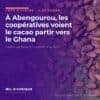 Fèves de cacao séchées sur une claie à Soubré, en Côte d'Ivoire, illustration de la fuite du cacao vers le Ghana dénoncée à Abengourou