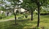 exterior-fruit-trees