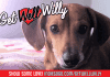 "Get Well, Willy!" A benefit for Willy the Weenie Dog by The Homicidal Homemaker