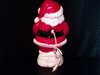 Grand Venture 16" Small Santa Christmas Blow Mold Rear View