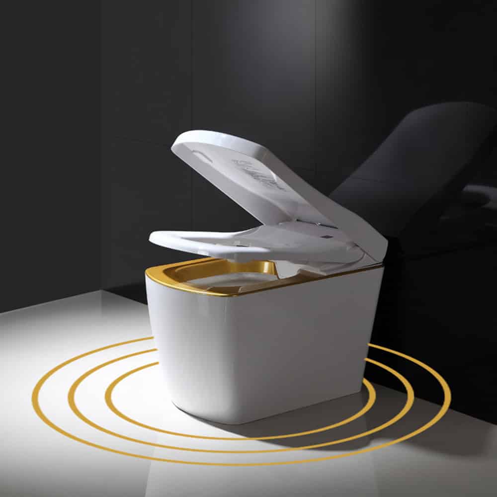 bidetry SX bidet toilet suite motion sensor radar