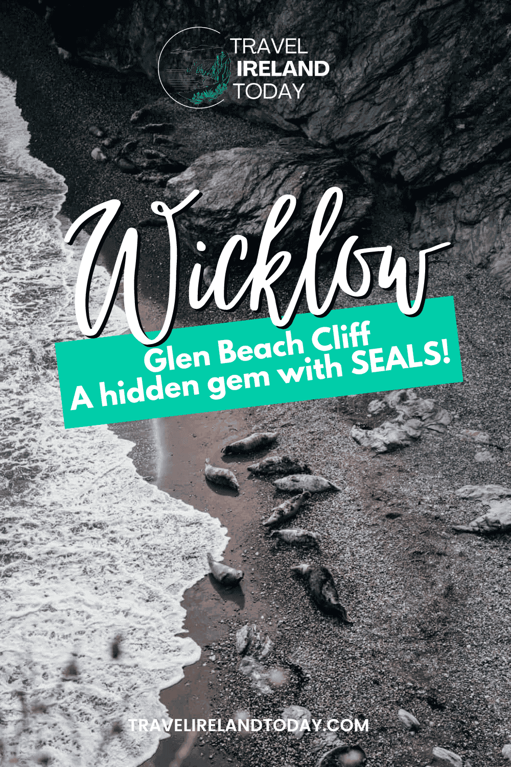 A promotional graphic showcasing a secluded beach with several seals resting on the pebbled shore next to the crashing waves. The text reads, "Wicklow - Glen Beach Cliff: A hidden gem with SEALS!" with the Travel Ireland Today logo at the top. The image highlights the rugged beauty of Wicklow, inviting visitors to explore this scenic spot. At the bottom, the website "TRAVELIRELANDTODAY.COM" is displayed.