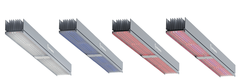 Mitra X C4 dynamic lighting