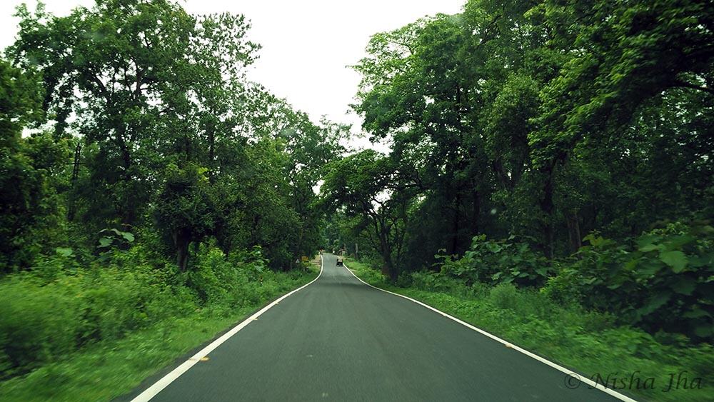 Top Indian Couple Blog by Nisha Jha and Vasudevan R - Lost and Found in Valparai