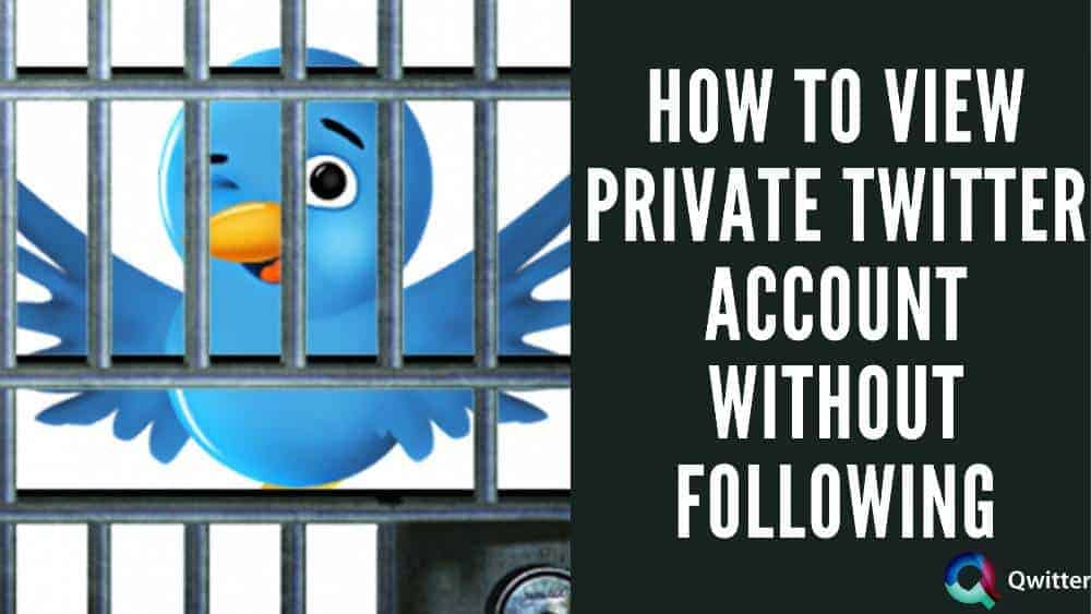 how to view private twitter account without following