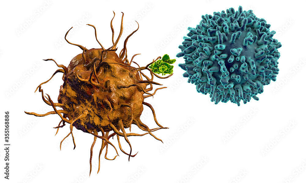 CD4