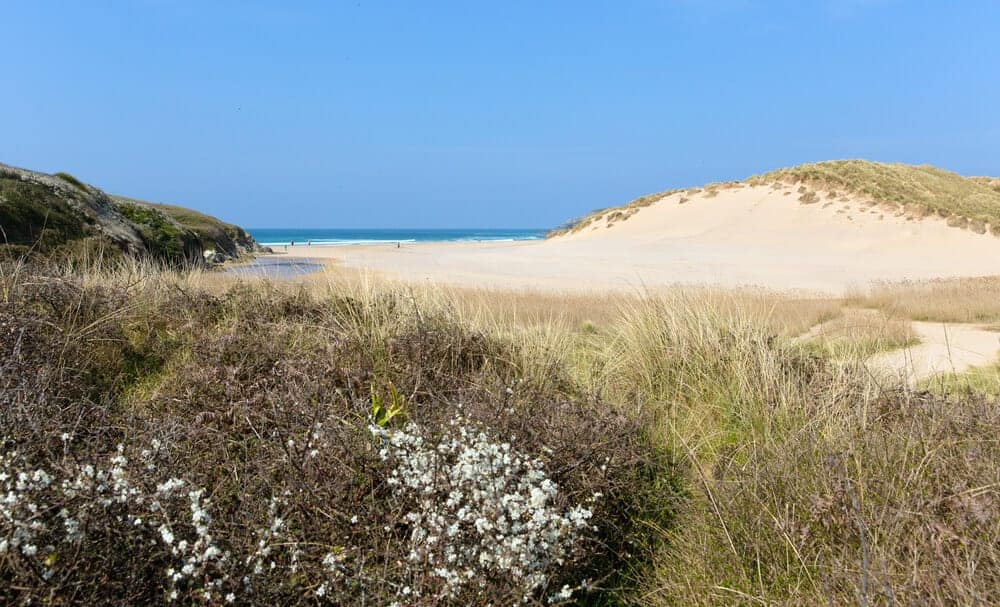 Top Camping Sites Near The Beach Cornwall