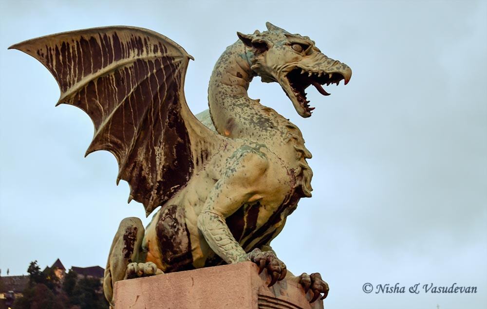 lujbliana slovenia dragon lemonicks.com the year that was 2017