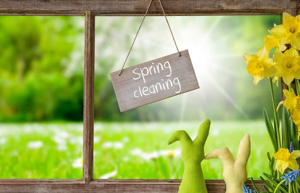 Eco-friendly spring cleaning through window with green meadow view