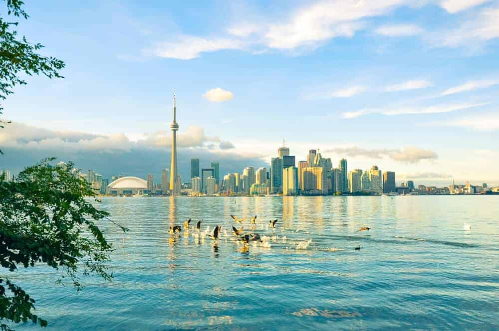 Things to do in Toronto with Kids