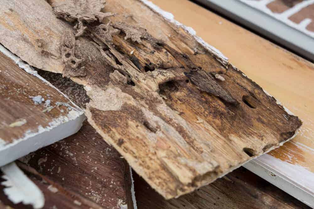Sneaky Home Problems to Get Ahead Of