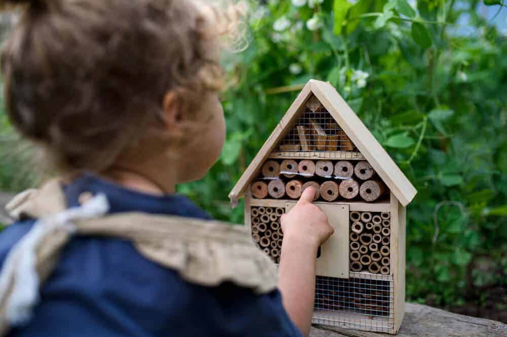 How to Design a Child-Friendly Tranquil Garden - insect hotel