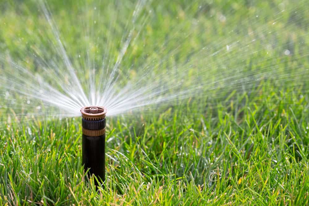Sprinkler watering grass (image courtesy Deposit Photos)