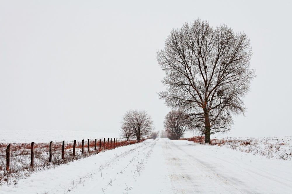 A snow-covered rural road lined with a wooden fence and bare, leafless trees under a gray winter sky.