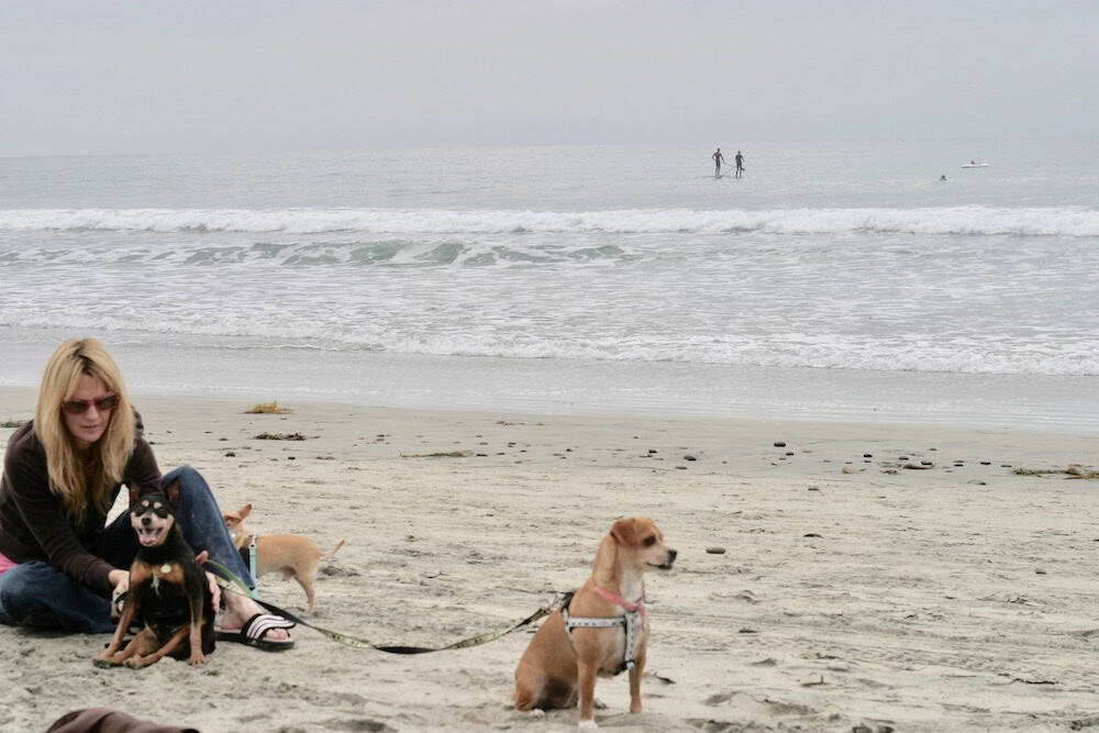 Dog Beach
