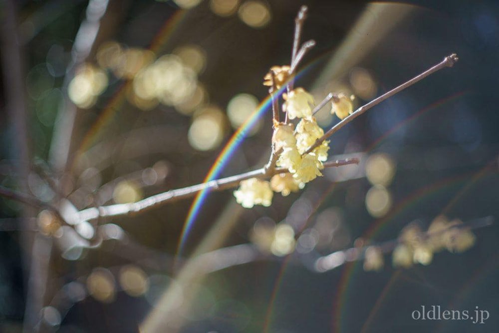 希少 富岡 Auto YASHINON DX 50mm F1.4 M42 121 悠悠山河】富岡頭白嘴Yashica Auto Yashinon-DX 50mm F1.4 M42