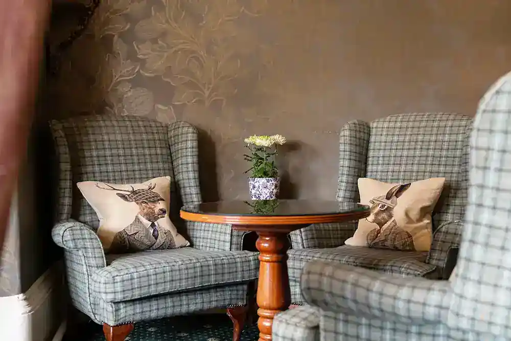 Plaid wingback armchairs with novelty animal cushions around a wooden side table in a cosy lounge.